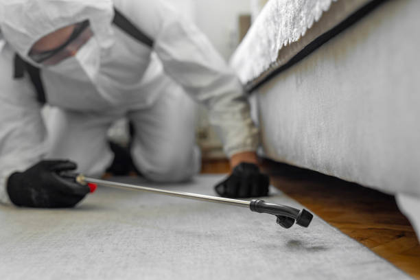 Professional Cockroach Control technician working in Newport, VT
